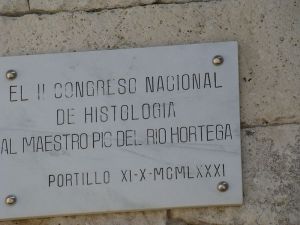 Placa de homenaje a D. Pío del Río Hortega.